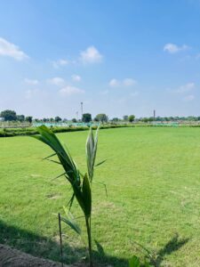 whatsapp image 2025 12 13 at 4.07.11 pm