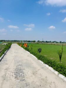 whatsapp image 2025 12 13 at 4.07.12 pm (1)